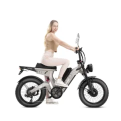 Scout Pro Vélo électrique à double batterie et double moteur - Image 6