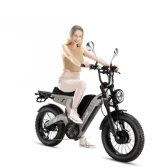 Scout Pro Vélo électrique à double batterie et double moteur - Image 5