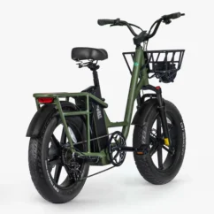 Fiido T1 Pro - Vélo électrique Fatbike Cargo – Image 3