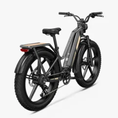 Fiido Titan - Vélo électrique Cross & Randonnée De Transport Robuste - Image 6
