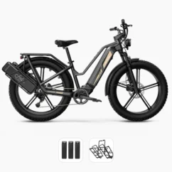 Fiido Titan - Vélo électrique Cross & Randonnée De Transport Robuste - Image 4