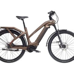 VTC Électrique Bianchi E-Omnia T-Type Step-Through 625Wh – Image 7