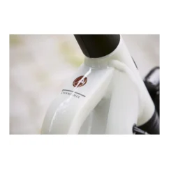 Vélo de ville électrique Gazelle Chamonix C5 HMS 2025 – Image 6