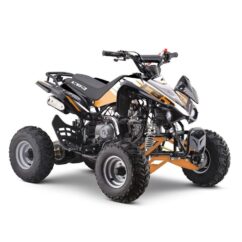 Quad 125cc enfant LBQ Panthera – Image 9
