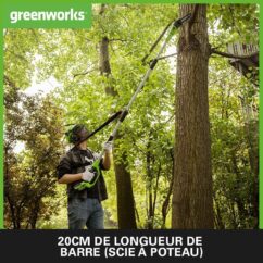 Élagueuse et Taille Haie à Batterie sur Perche 2-en-1 Greenworks G40PSHK2 – Image 3